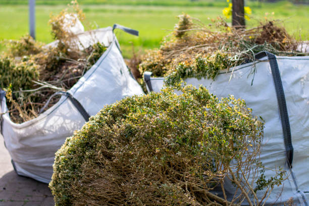 Best Yard Cleanup Services  in Mason, TN